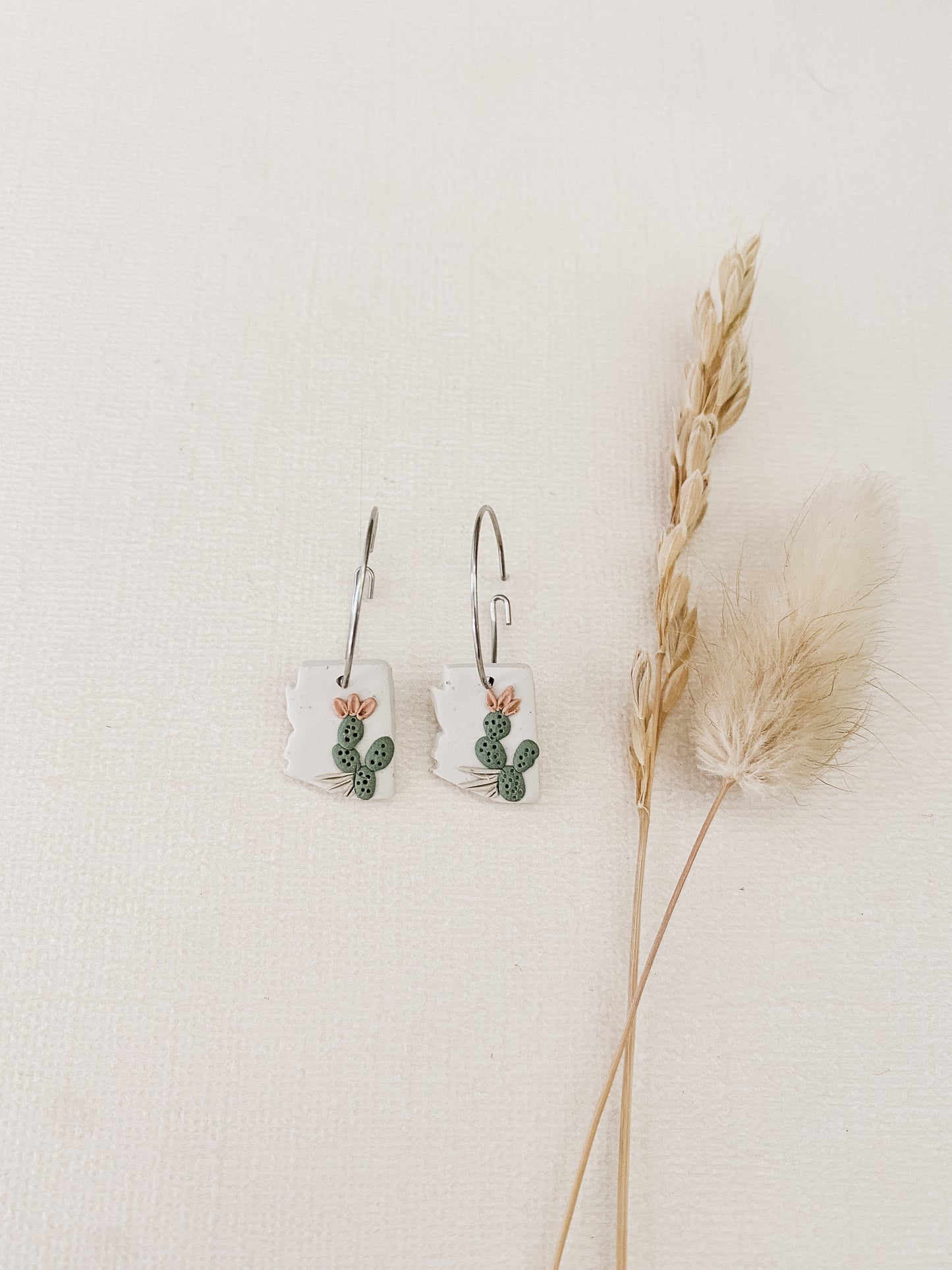 Cactus Arizona Hoops